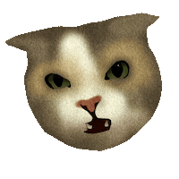 Confused Cat Sticker