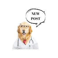 Mvz New Post Sticker by DREO_BeautySI