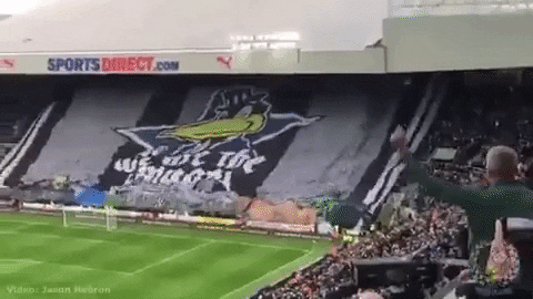 neilputley newcastle toon nufc newcastle united GIF
