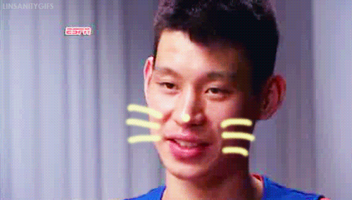 Jeremy Lin Cat GIF