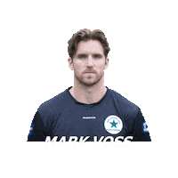 Sport Heerlen Sticker by Groene ster