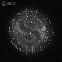 To The Moon Crypto GIF by Eco