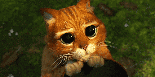 Gato de Botas pedindo presente
