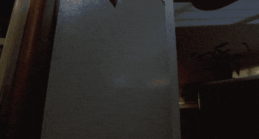 garrett morris GIF by Coolidge Corner Theatre
