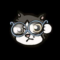 irene_hsyu cat look glasses casper GIF