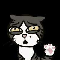 irene_hsyu cat sad tears ohno GIF