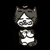 irene_hsyu cat good nice applaus GIF