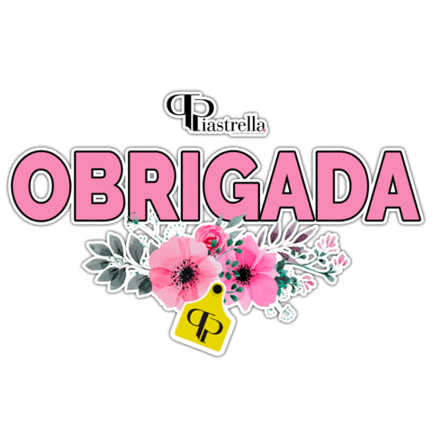 Agro Agronegocio Sticker by Piastrella Rastreabilidade