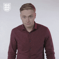 Three Lions Football GIF by England