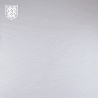 Three Lions Football GIF by England