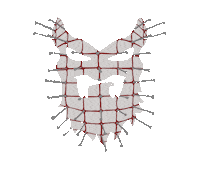 Halloween Illustration Sticker by BEARDED VILLAINS