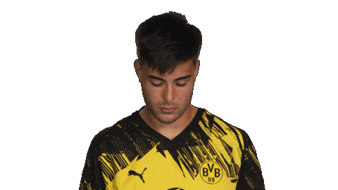 Borussia Dortmund Sticker by Bundesliga