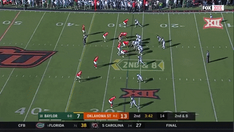 wcrochet giphygifmaker baylor hasty GIF