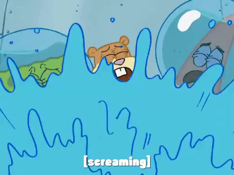 season 7 episode 22 GIF by SpongeBob SquarePants