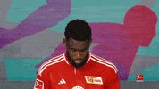 Posing Line Up GIF by Bundesliga
