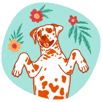 Happy Cat Sticker by BanfieldPetHospital