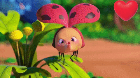 giffy8031 giphygifmaker giphyattribution GIF