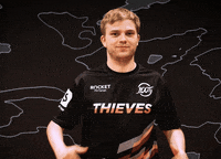 Carry Me League Of Legends GIF by 100 Thieves