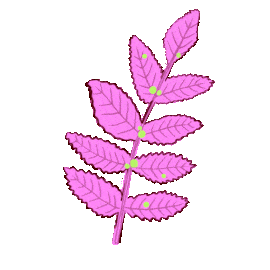 Illustration Flower Sticker by Manon Louart