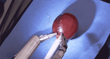 mic GIF