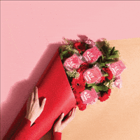 Scentsyconsultant GIF by Scentsy