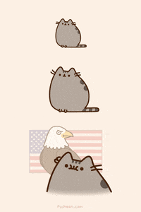 GIF by Pusheen