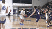 Upper Iowa GIF by UIUPeacocks