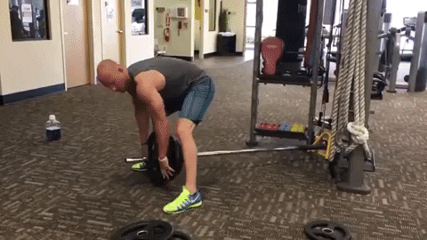 winestain giphygifmaker GIF