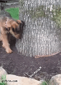 GIF by Demic