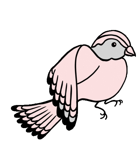 Birdies giphyupload fashion style shoes Sticker