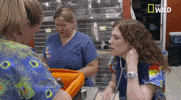 nat geo wild pets GIF by Dr. K's Exotic Animal ER