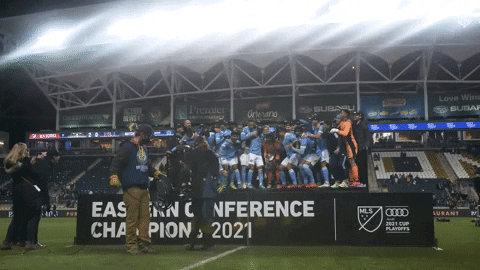 Happy Major League Soccer GIF by NYCFC