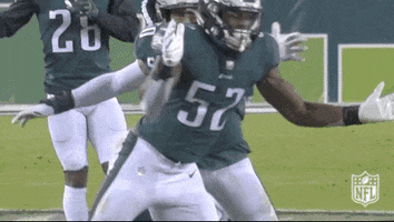 Regular Season Football GIF by NFL