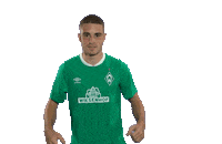 Football Bundesliga Sticker by SV Werder Bremen