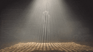 subpoprecords pride country music country cowboy GIF