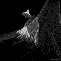 GIF by Okkult Motion Pictures