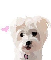 Dog Adopt Sticker by Watertown Humane Society