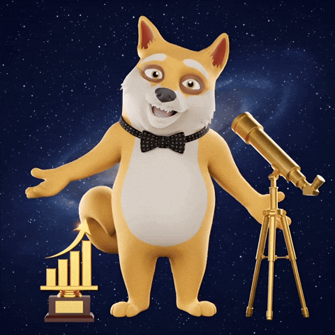 Happy To The Moon GIF by Doge Pound