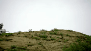 love like we used to ft. nateur GIF by Captain Cuts
