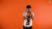Uvamenslax GIF by Virginia Athletics