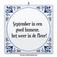 Humor September GIF by Tegelspreuken.nl