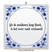 Hoop Wijsheid GIF by Tegelspreuken.nl