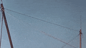 Art Video GIF by jorgemariozuleta