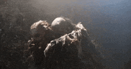 Halloween Bird GIF by Crypt TV