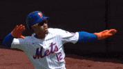 Major League Baseball Sport GIF by MLB