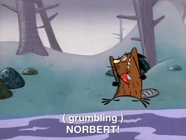 nickrewind nicksplat angry beavers GIF