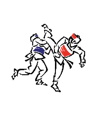 Tae Kwon Do Judo Sticker by IIES