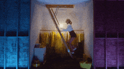 Lover Ladder GIF by Taylor Swift