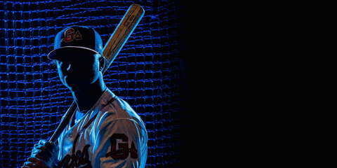 albies GIF by Gwinnett Braves