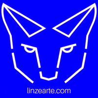 GIF by Linze Arte